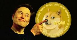 DOGE 飙升 35%，一夜之间开始崩盘？_USD:DOG