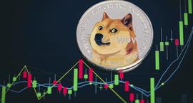 随着利率达到 63%，狗狗币巩固了其盈利能力_狗狗币:加密货币