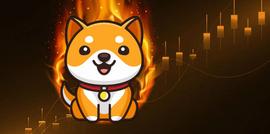 BabyDoge 将在 2 天内大规模烧伤_YDOGE:BABY