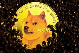 狗狗币和柴犬的竞争对手在短短几周内筹集了 8,000,000 美元！_狗狗币:SHIB