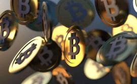 小型比特币 ($BTC) 持有者数量创下新高，因持仓投资者进入_CRYPTO:美国加密货币