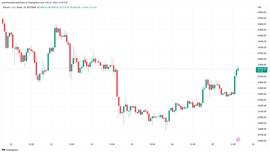 随着美元跳入月度收盘价，比特币价格重新测试 24,000 美元_DOG:DOGE