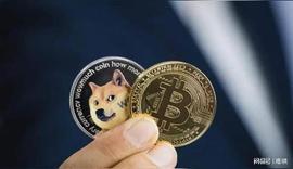 「崛起社区」狗狗币价格预测：DOGE 将在 1 月份上涨 25%？_狗狗币:PSYCHODOGE