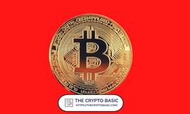分析师称“小幅价格冲击”很容易引发比特币暴跌，原因如下_CRY:KYC.Crypto