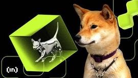 柴犬：为什么最大的以太坊鲸鱼一直持有 SHIB？_SHIBA:SHIB