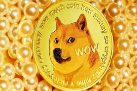 DOGE 鲸鱼在负面情绪中疯狂囤积，这就是为什么_加密货币:DOGE