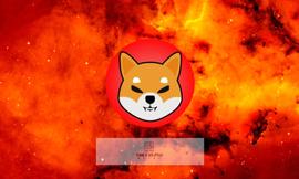 Shiba Inu 自 7 月 18 日以来每周燃烧 10 亿次_SHIB:BurnX20价格