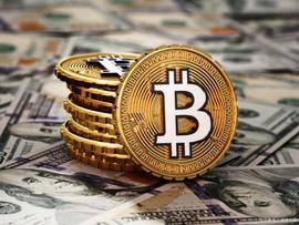 截止2022 年 11 月总共有多少比特币？_ANT:bnb游戏攻略送礼物
