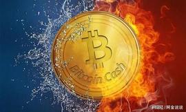 比特币鲸鱼市场逆转时卸载BTC，并将其利润存放在加密资产类别中_USD:SAN