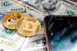 超过 350 名DOGE制造的百万富翁在数周内因模因硬币的挣扎而消失_DOGE:Starship Doge