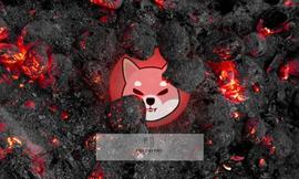 主要钱包烧毁 2400 万柴犬SHIB，烧毁率上升 642%_SHIBA:CryptoShips
