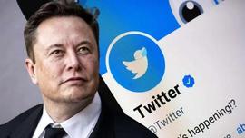 据报道，伊隆马斯克正在寻找新的 Twitter 首席执行官_马斯克:ADA