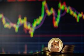 为什么狗狗币 (DOGE) 崩溃？这是你应该知道的_TER:StarterCoin