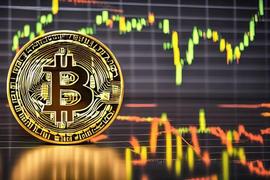 在比特币鲸鱼消失的情况下，这些 BTC 投资者似乎准备守住堡垒_ANT:Timeseries AI