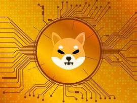 Shiba Inu：Shibarium 更新的提示使 SHIB 交易量飙升 28%_BAR:Barkis