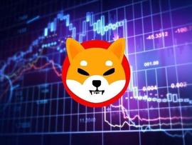 2023 年 1 月 31 日柴犬 (SHIB) 价格预测_加密货币:DIN