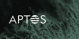 Paradigm工程师：Aptos当前「TPS低于比特币」_TOS:APT