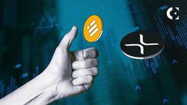 XRP 超过 BUSD 3 亿美元；成为市值第六大加密货币_BUSD:加密货币