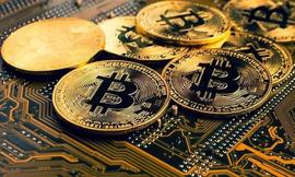 萨尔瓦多总统说“FTX 与比特币相反”_NUM:UMX