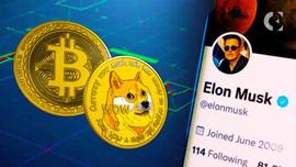 加密货币评论家称跟随马斯克投资 BTC 的人“愚蠢”_马斯克:加密货币