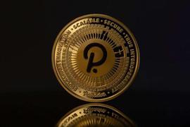 DOT 在过去 7 天的表现为负 3%_POLK:polkadot怎么读