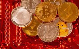 数据分析：加密货币走向难以预测？_AME:BAKC Vault (NFTX)