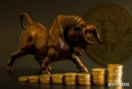 加密拉力赛：比特币，山寨币反弹，他们能走多高_比特币:BTC