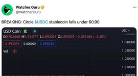USDC 跌至新低：对加密货币市场意味着什么_USD:USDC