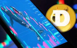 DOGE 的价格在过去 24 小时内上涨了 2.05%_OIN:CrogeCoin