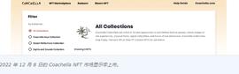 FTX托管的 NFT 指向损坏的元数据，揭示了NFT 的缺陷_FTX:ACH