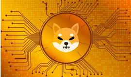 柴犬燃烧率加速 3,000%，会影响价格吗？_VAL:VALK币