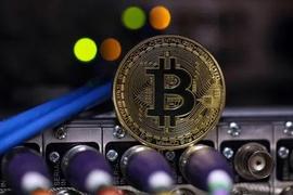 比特币出现看涨趋势！其中值得埋伏的币种有哪些？_USDT:USD