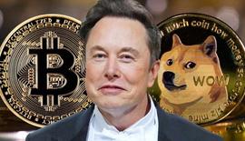 马斯克：比特币会成功、狗狗币上月球！_比特币:TTE