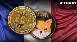 SHIB、BTC、ETH 被法国的 440 家商家接受为付款方式_加密货币:数字货币和加密货币的区别