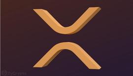 Ripple 预计跨境支付金额将达到 250 万亿美元，XRP 价格将暴涨_PPL:PLE