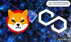 Shiba Inu首席开发人员承认Polygon在Shibarium重新启动中的作用_SHIB:Shibance Token
