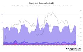 尽管价格下跌，比特币长期持有者仍然坚挺_BTC:wisdomisthewealthofthewise