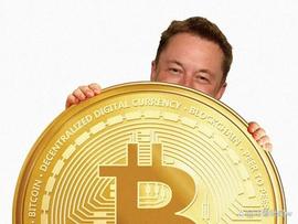比特币生态除了STX和RIF之外还有啥？_以太坊:BTC Hashrate Token