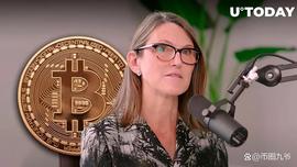 CathieWood表示SEC可能会同时批准多个比特币ETF_SEC:比特币200亿美元