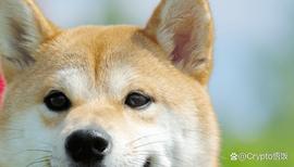 DOGE的潜力从这个水平反弹，它能否找到新的购买压力？_加密货币:加密货币行情怎么样