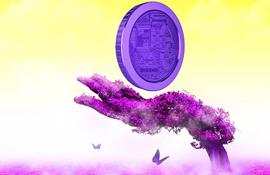 等待比特币横盘后的最后一跌！埋伏DWF下一个暴涨操盘币种？_PAY:COIN