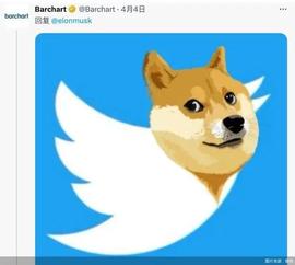 本月最值得你持有的三大币种！你拥有吗？_DOGE:Peace Doge
