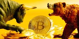 如果再次出现比特币（BTC）价格暴跌，会发生什么_比特币:比特币占比多少的含义