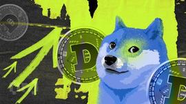 狗狗币可能继续下跌的 3 个原因_NFT:NFTP
