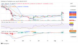 柴犬在失去本月的涨幅后下跌近7%_SHI:AIN