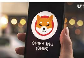 Shiba Inu进入僵局，这可能会结束_SHIB:AIN
