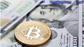 比特币风险大吗 比特币高风险的原因集中在哪些方面？_NET:Flag Network