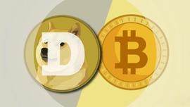 狗狗币-比特币对“可能”暴涨 100%_TWI:arbitrum币交易所
