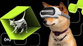柴犬 (SHIB) 价格可能下跌的 2 个原因_SHIB:SHIBA