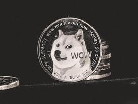 如果多头不将 DOGE 拉升至该水平，狗狗币价格可能会暴跌 14%_ALA:SWISSNFTFUND价格